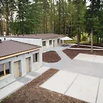 Borowik