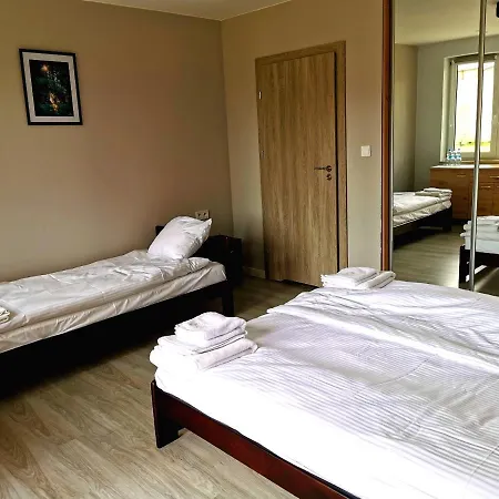 Отель Borowik *