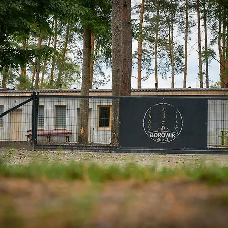 Borowik Hotel Milicz