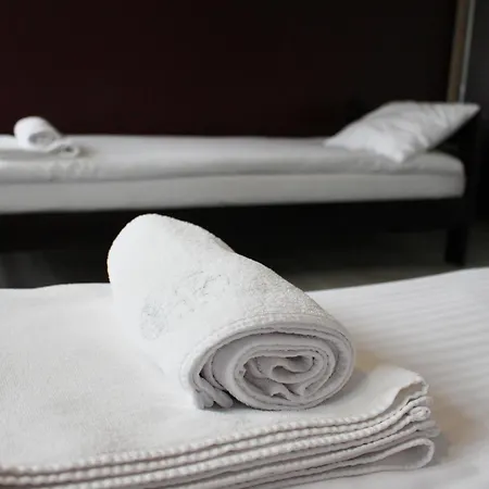 Borowik Отель Милич