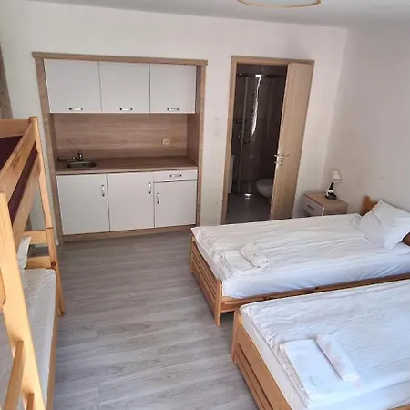 Hotel Borowik *