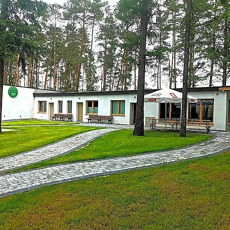Borowik