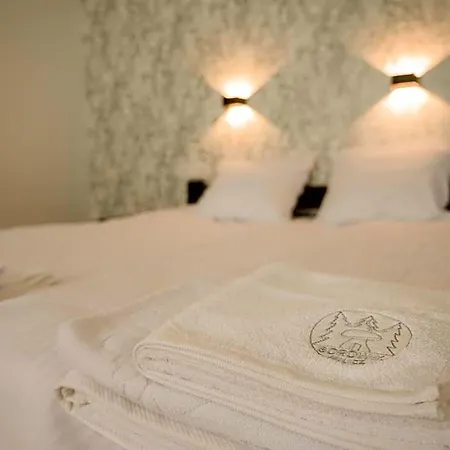 Hotel Borowik *