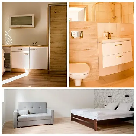 Hotel Borowik *