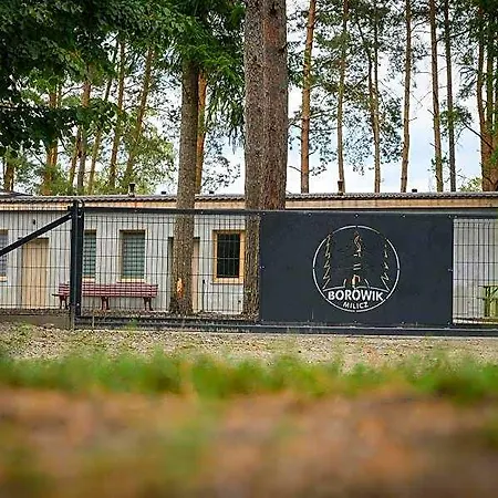 Borowik Hotel Milicz