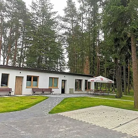 Hotel Borowik