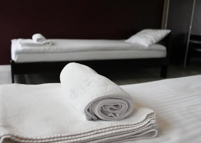 Borowik Hotel Milicz